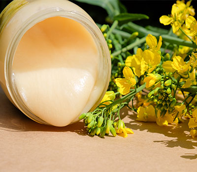 produse-miere-rapita produse-miere-rapita