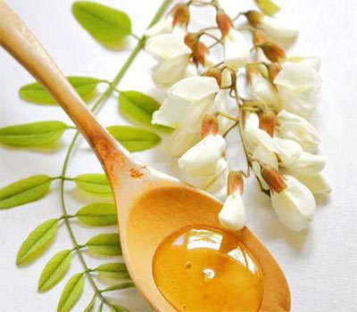 produse-miere-salcam produse-miere-salcam