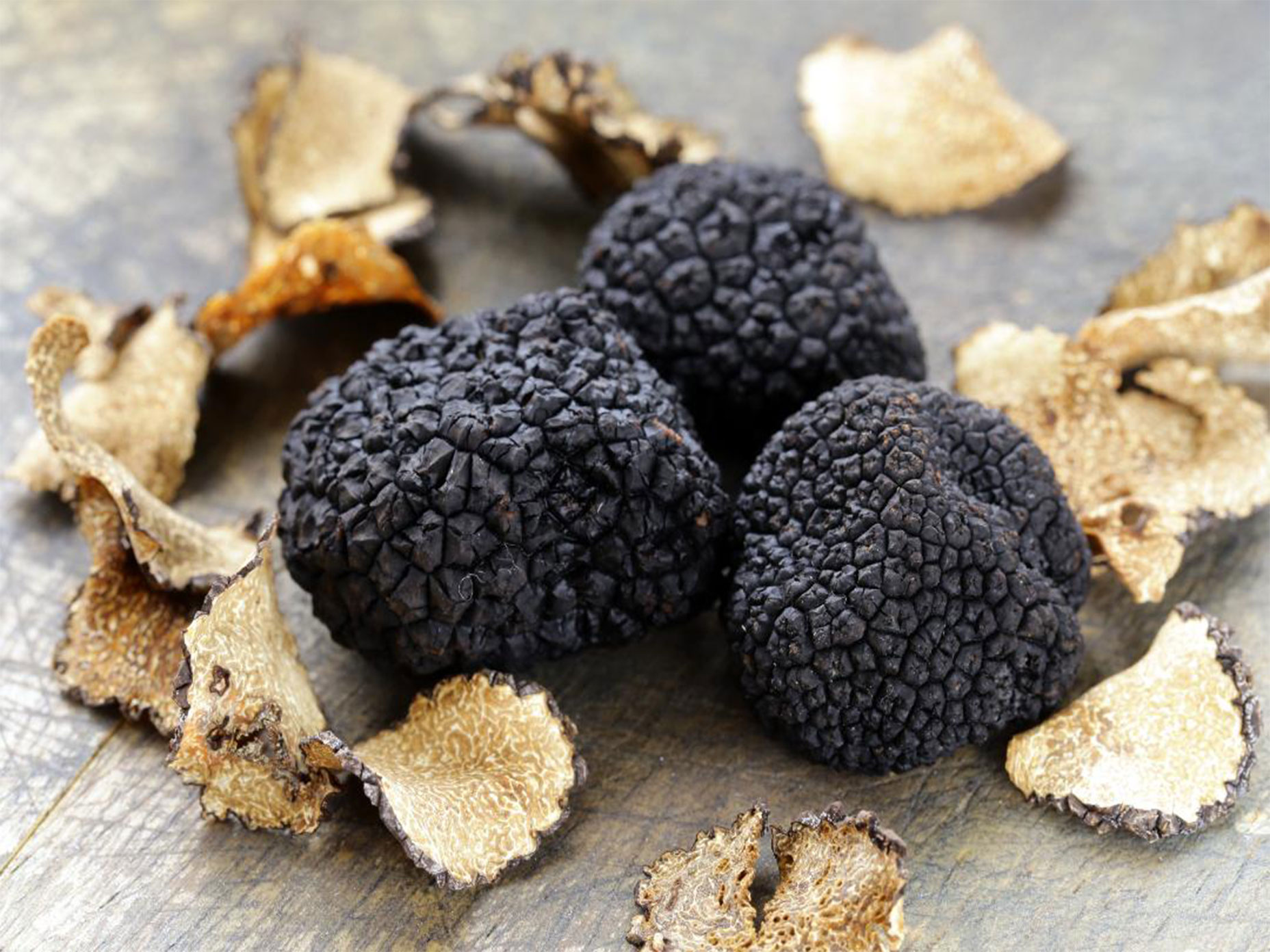 trufe-beeheddtruffles trufe-beeheddtruffles